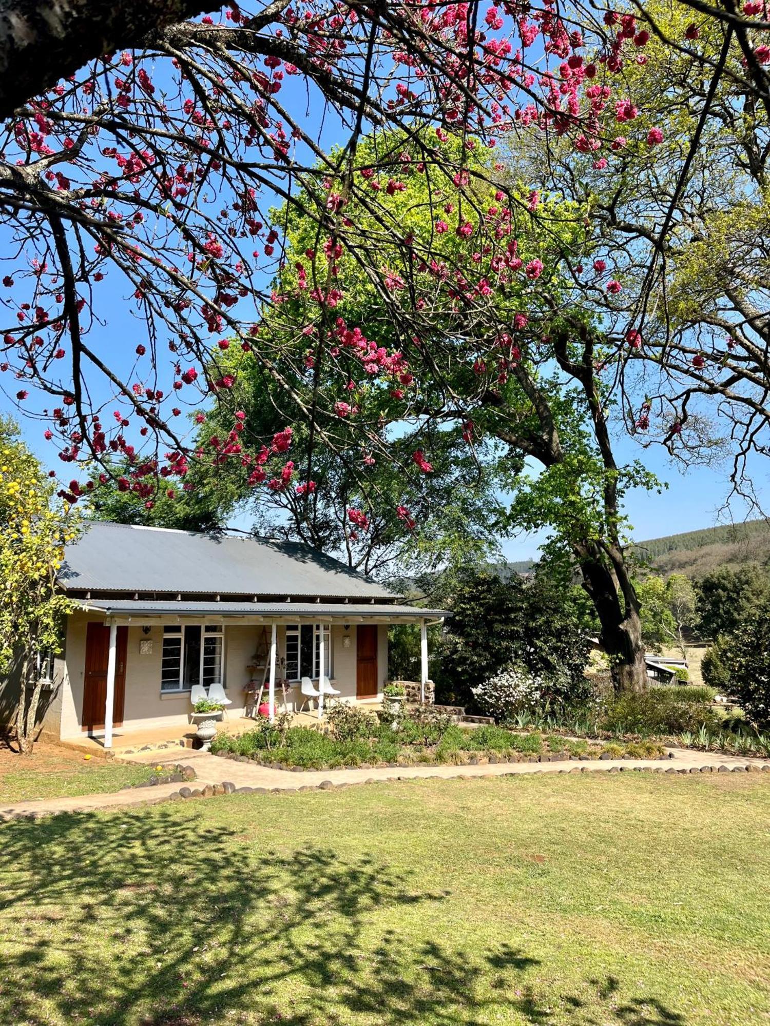 Gowan Valley Guest Farm Balgowan Extérieur photo